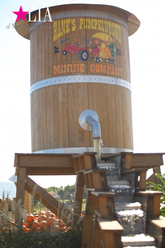 Кукурузный лабиринт и катание в бочках в HANK'S PUMPKINTOWN, the Hamptons, NY