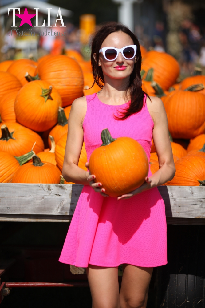Кукурузный лабиринт и катание в бочках в HANK'S PUMPKINTOWN, the Hamptons, NY