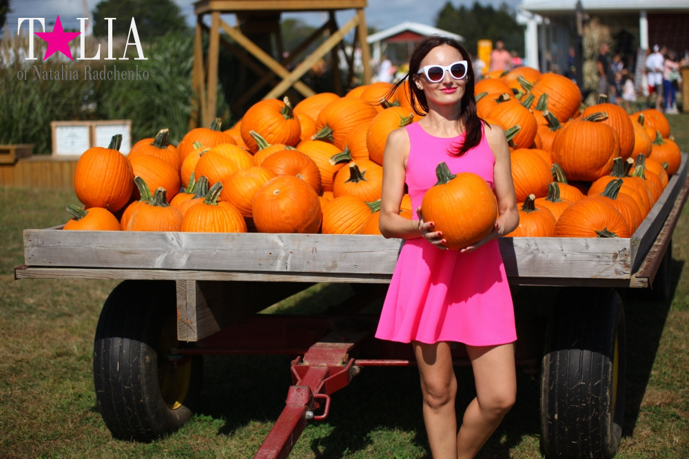 Кукурузный лабиринт и катание в бочках в HANK'S PUMPKINTOWN, the Hamptons, NY