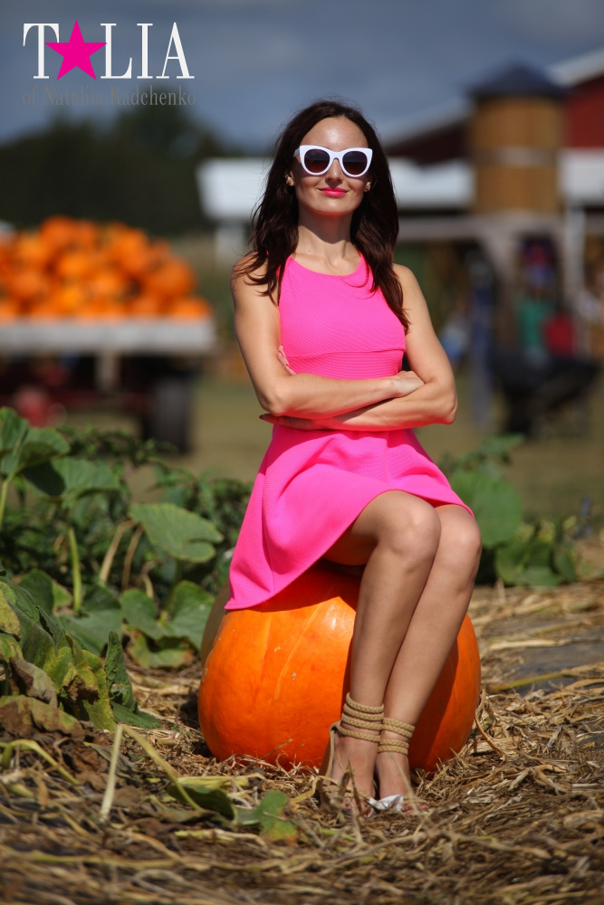 Кукурузный лабиринт и катание в бочках в HANK'S PUMPKINTOWN, the Hamptons, NY
