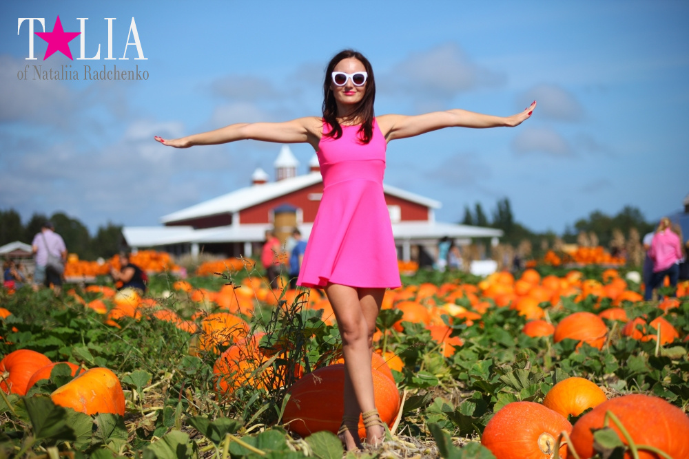 Кукурузный лабиринт и катание в бочках в HANK'S PUMPKINTOWN, the Hamptons, NY