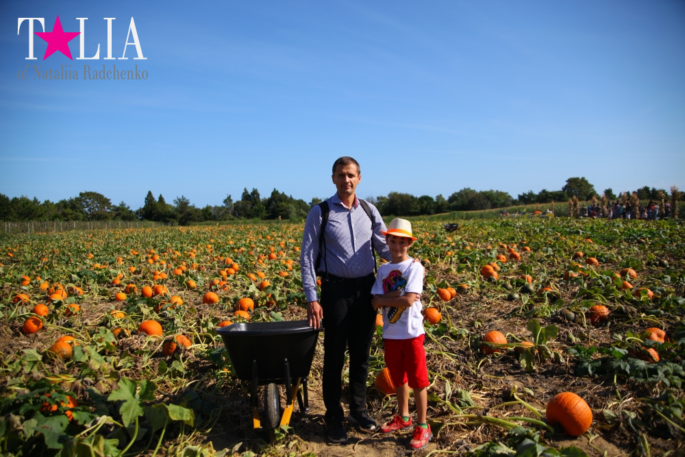 Кукурузный лабиринт и катание в бочках в HANK'S PUMPKINTOWN, the Hamptons, NY