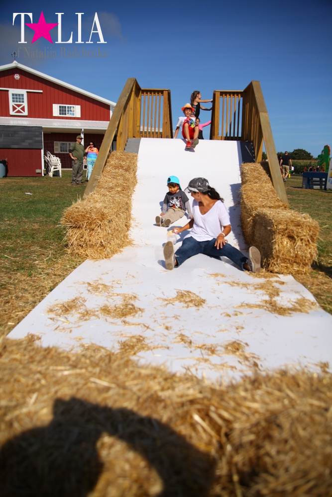 Кукурузный лабиринт и катание в бочках в HANK'S PUMPKINTOWN, the Hamptons, NY