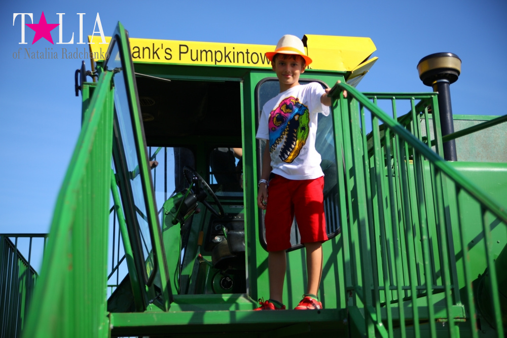 Кукурузный лабиринт и катание в бочках в HANK'S PUMPKINTOWN, the Hamptons, NY