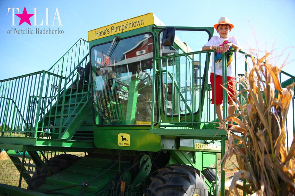 Кукурузный лабиринт и катание в бочках в HANK'S PUMPKINTOWN, the Hamptons, NY