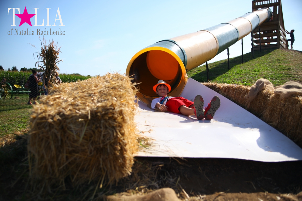Кукурузный лабиринт и катание в бочках в HANK'S PUMPKINTOWN, the Hamptons, NY