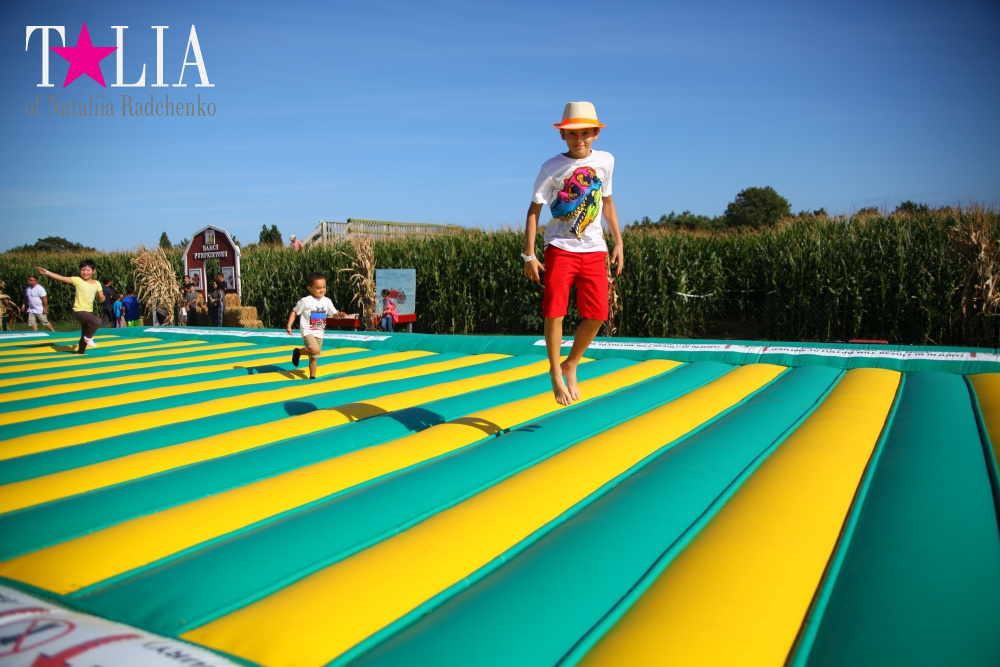 Кукурузный лабиринт и катание в бочках в HANK'S PUMPKINTOWN, the Hamptons, NY