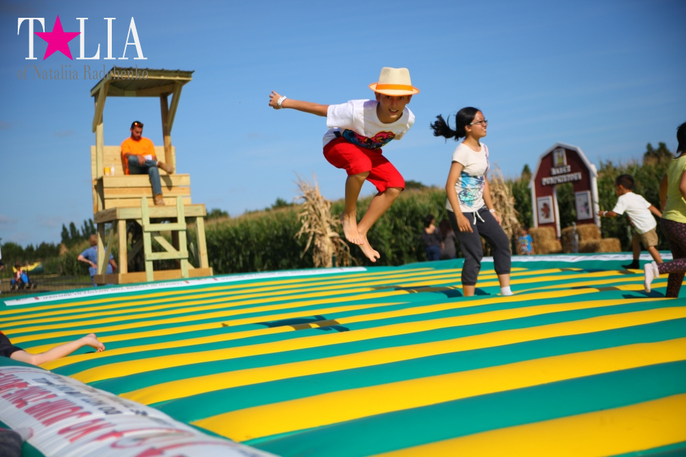 Кукурузный лабиринт и катание в бочках в HANK'S PUMPKINTOWN, the Hamptons, NY