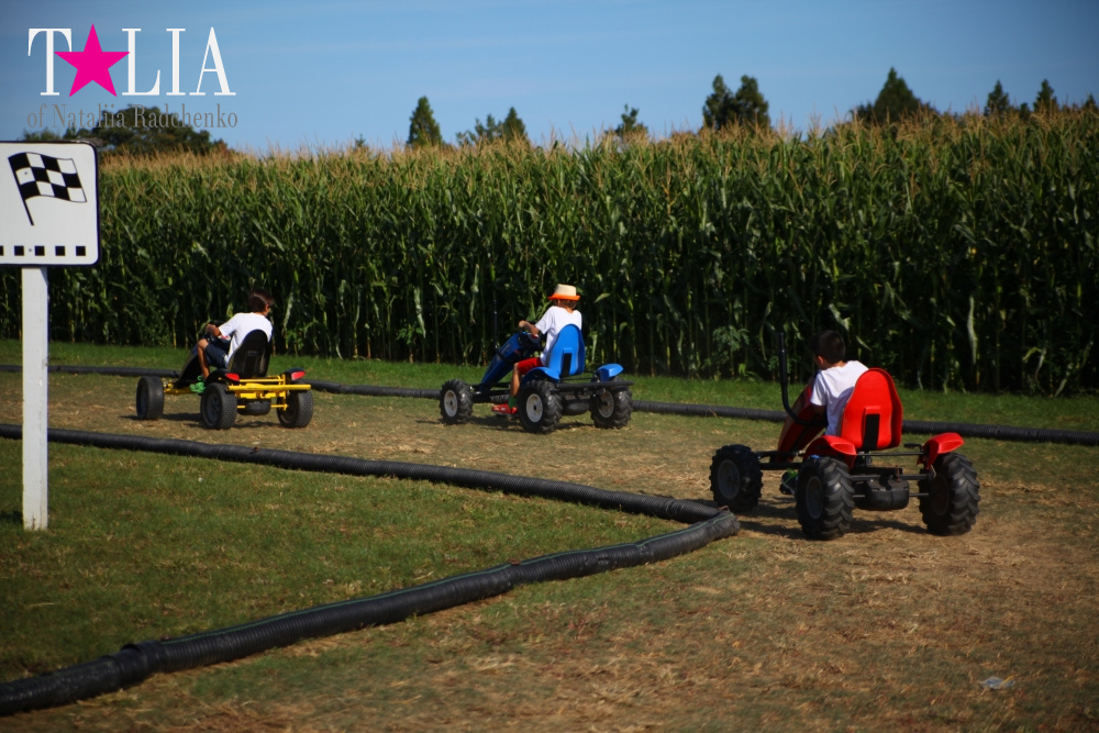Кукурузный лабиринт и катание в бочках в HANK'S PUMPKINTOWN, the Hamptons, NY