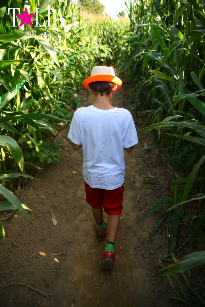 Кукурузный лабиринт и катание в бочках в HANK'S PUMPKINTOWN, the Hamptons, NY