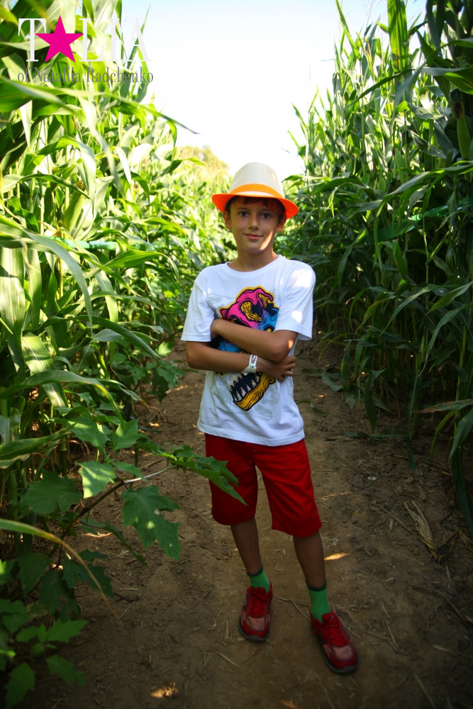 Кукурузный лабиринт и катание в бочках в HANK'S PUMPKINTOWN, the Hamptons, NY