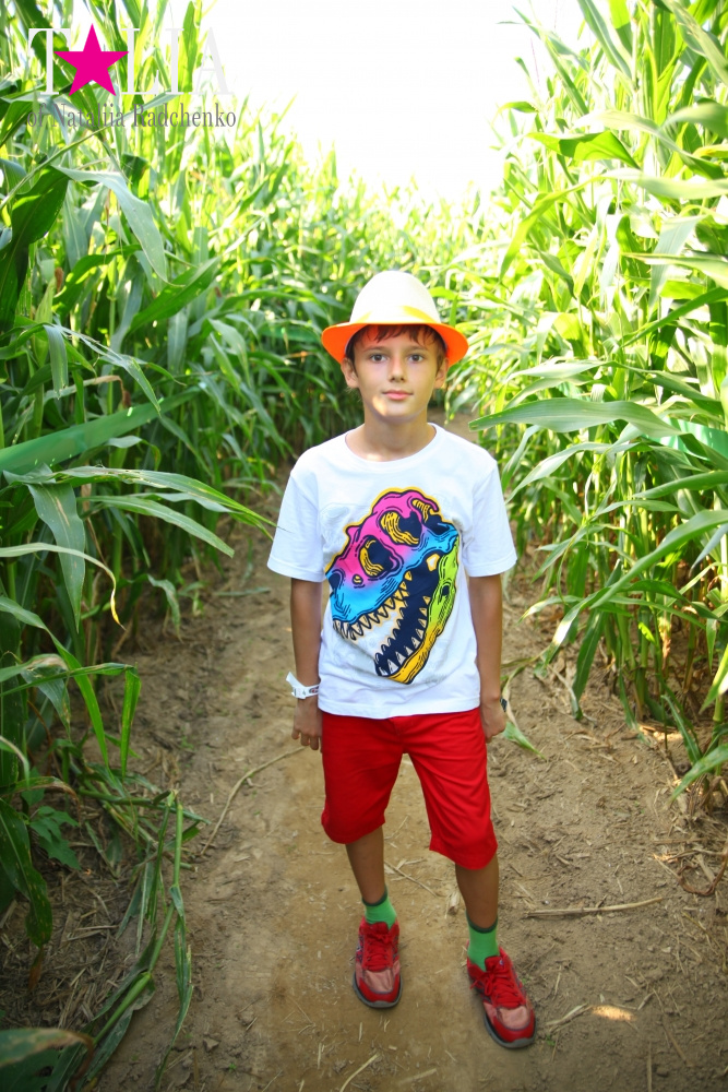 Кукурузный лабиринт и катание в бочках в HANK'S PUMPKINTOWN, the Hamptons, NY