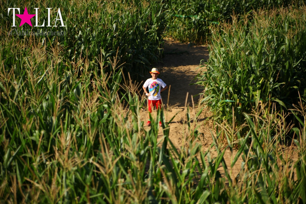 Кукурузный лабиринт и катание в бочках в HANK'S PUMPKINTOWN, the Hamptons, NY