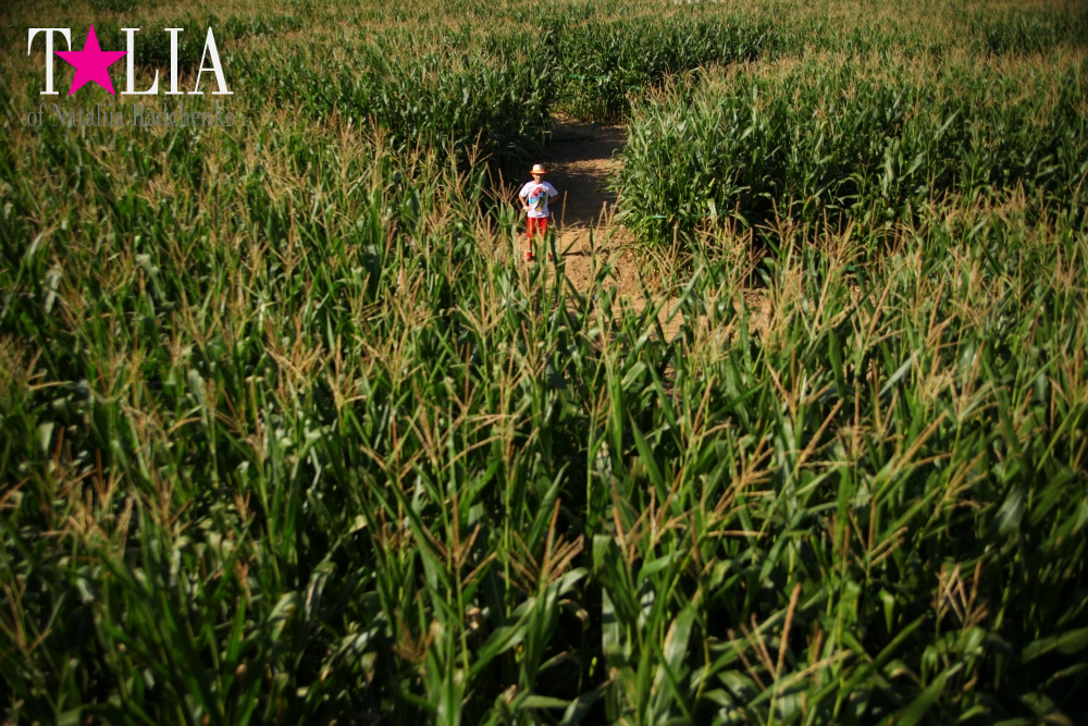 Кукурузный лабиринт и катание в бочках в HANK'S PUMPKINTOWN, the Hamptons, NY