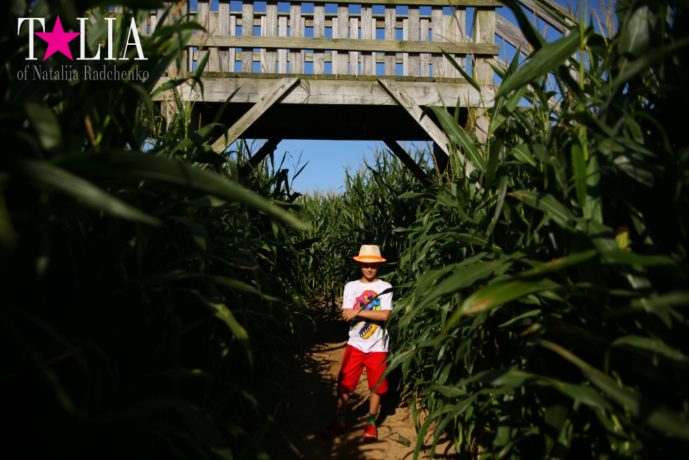Кукурузный лабиринт и катание в бочках в HANK'S PUMPKINTOWN, the Hamptons, NY