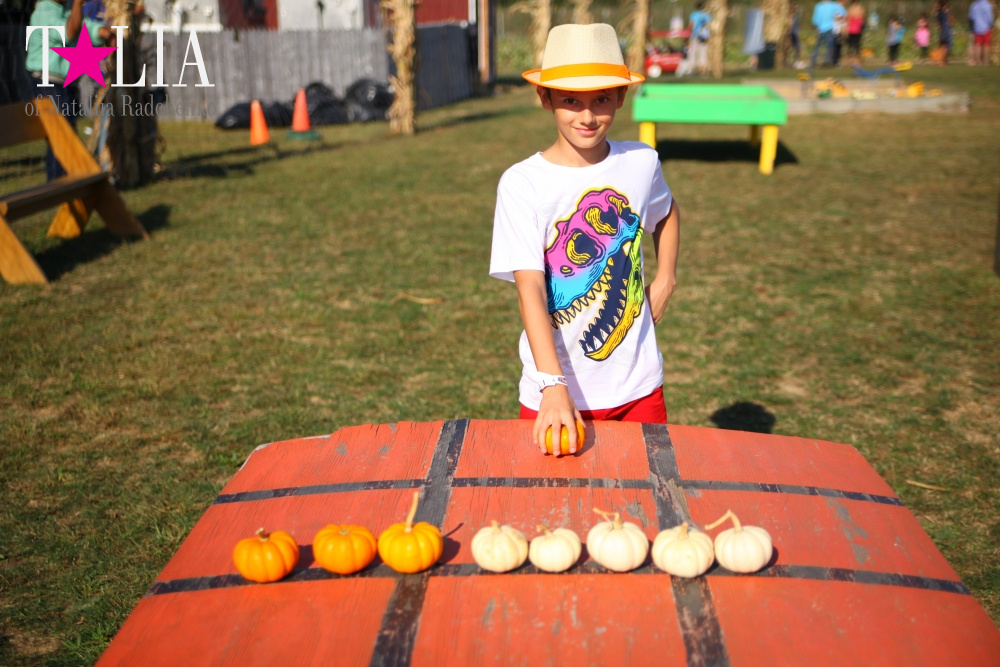 Кукурузный лабиринт и катание в бочках в HANK'S PUMPKINTOWN, the Hamptons, NY