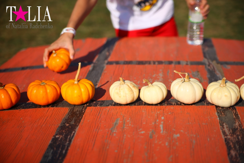 Кукурузный лабиринт и катание в бочках в HANK'S PUMPKINTOWN, the Hamptons, NY