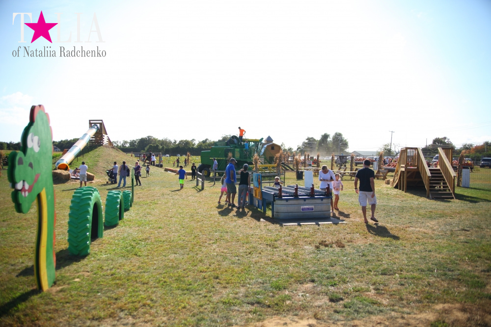Кукурузный лабиринт и катание в бочках в HANK'S PUMPKINTOWN, the Hamptons, NY