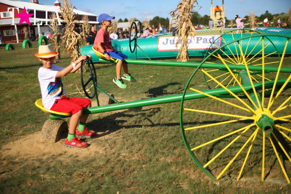 Кукурузный лабиринт и катание в бочках в HANK'S PUMPKINTOWN, the Hamptons, NY