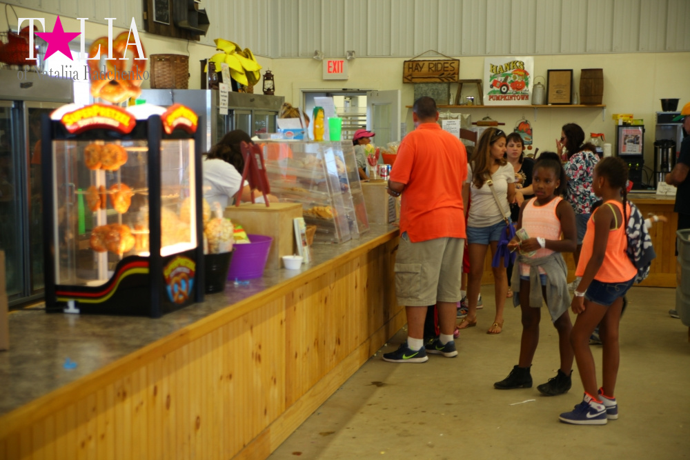 Кукурузный лабиринт и катание в бочках в HANK'S PUMPKINTOWN, the Hamptons, NY