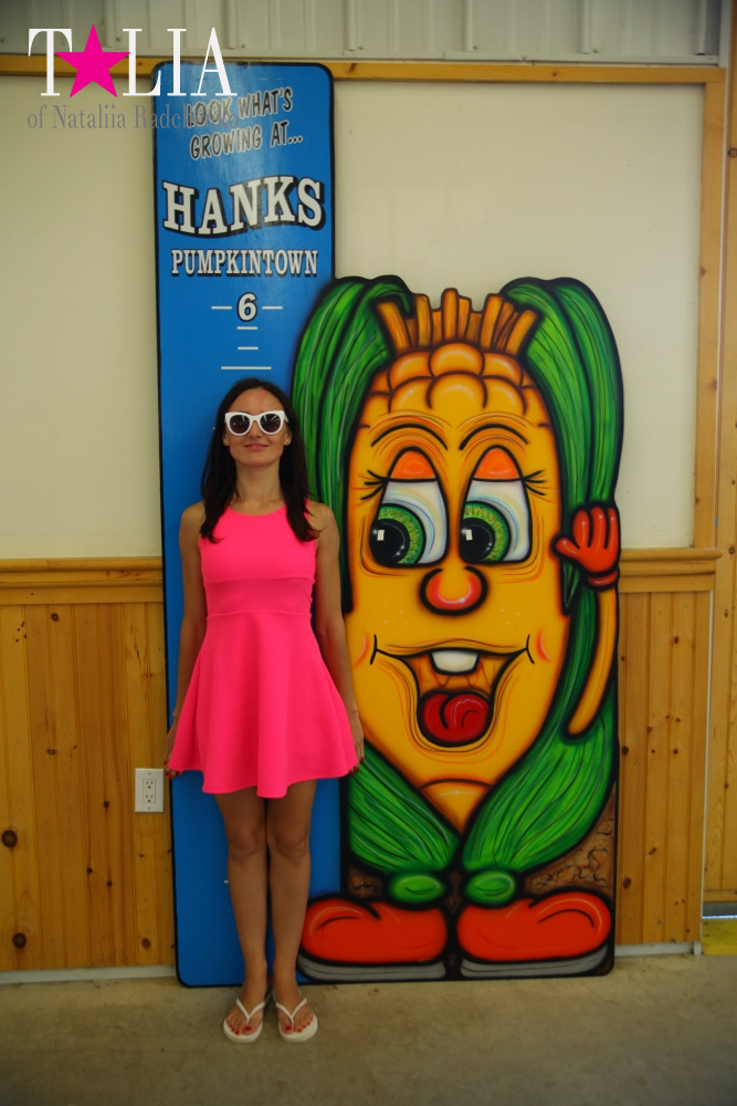 Кукурузный лабиринт и катание в бочках в HANK'S PUMPKINTOWN, the Hamptons, NY