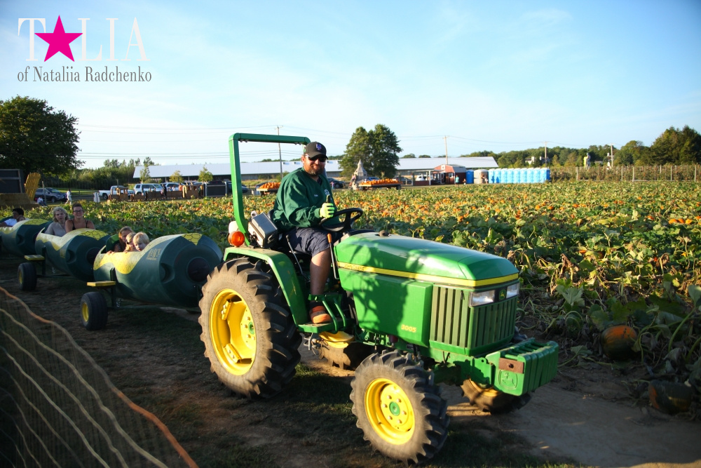 Кукурузный лабиринт и катание в бочках в HANK'S PUMPKINTOWN, the Hamptons, NY