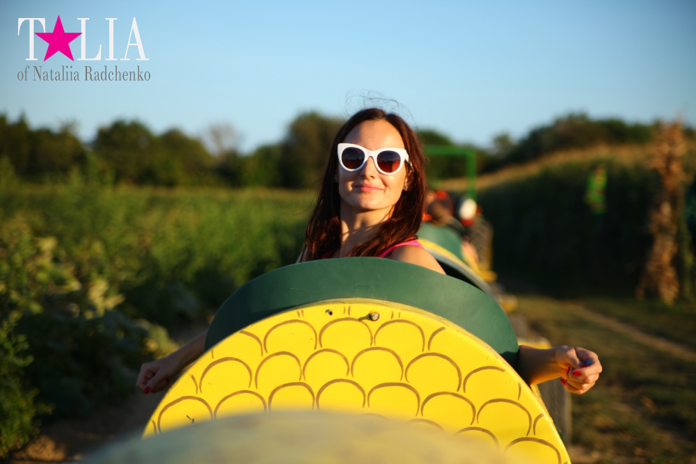 Кукурузный лабиринт и катание в бочках в HANK'S PUMPKINTOWN, the Hamptons, NY