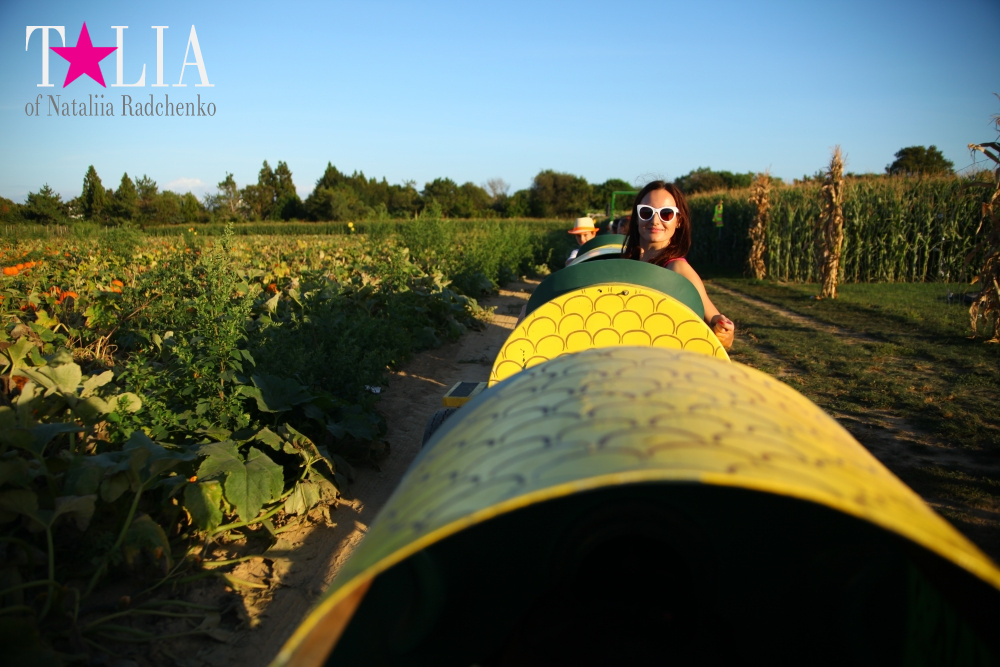 Кукурузный лабиринт и катание в бочках в HANK'S PUMPKINTOWN, the Hamptons, NY