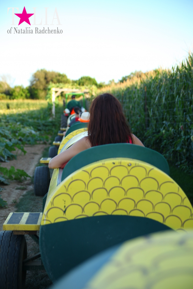 Кукурузный лабиринт и катание в бочках в HANK'S PUMPKINTOWN, the Hamptons, NY