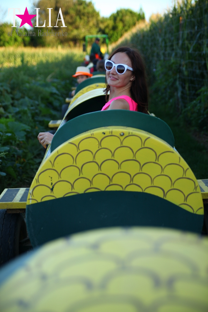 Кукурузный лабиринт и катание в бочках в HANK'S PUMPKINTOWN, the Hamptons, NY