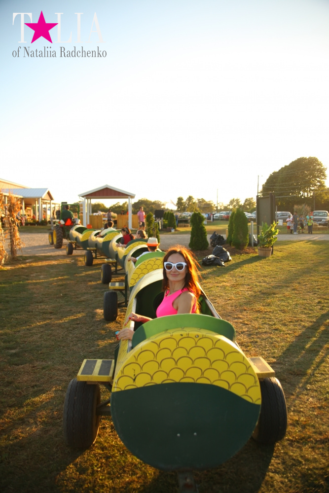 Кукурузный лабиринт и катание в бочках в HANK'S PUMPKINTOWN, the Hamptons, NY