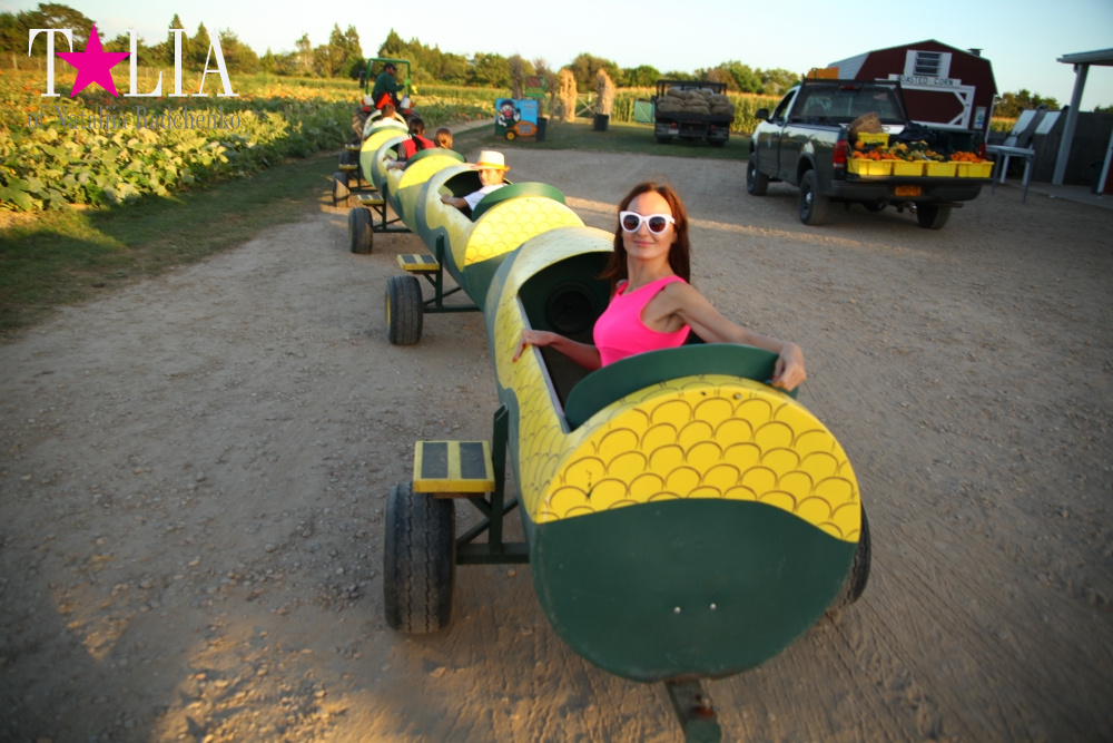 Кукурузный лабиринт и катание в бочках в HANK'S PUMPKINTOWN, the Hamptons, NY