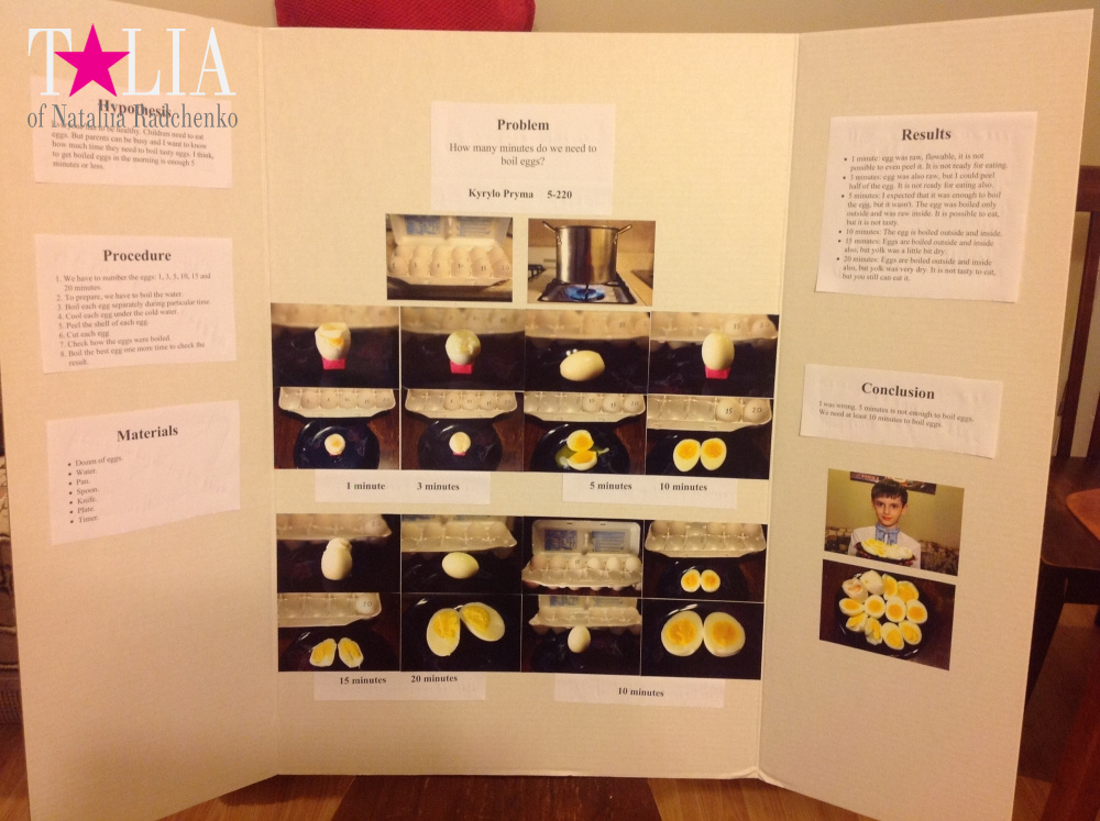 Американская школа - делаем проджекты!