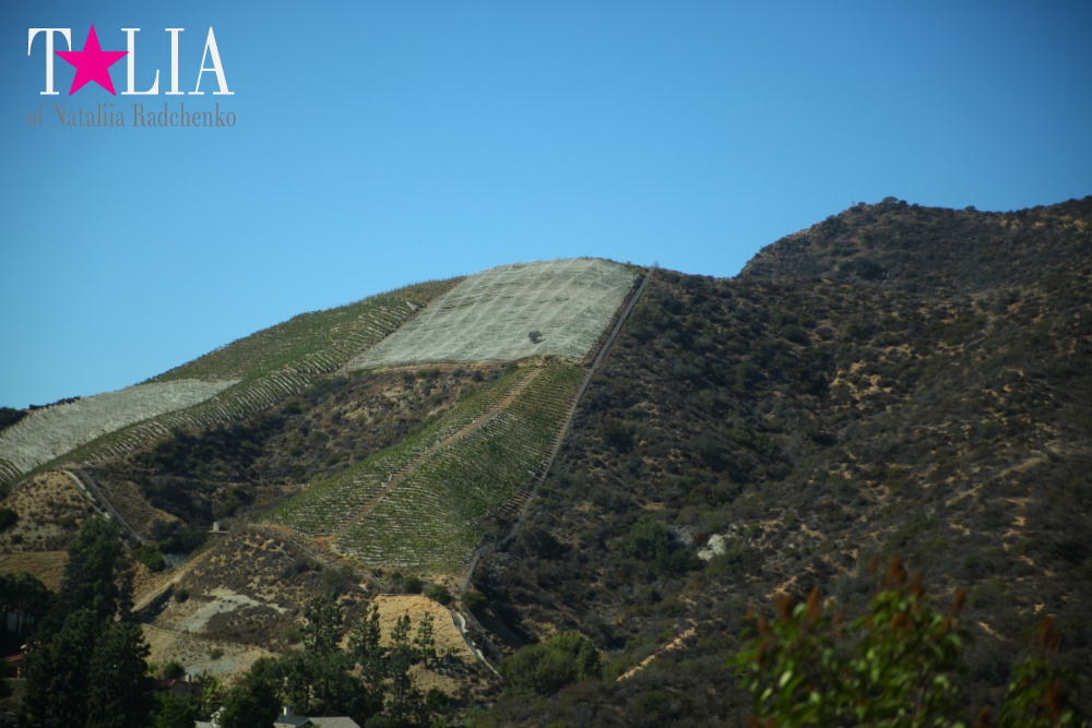 День рождения нашего папы и путешествие в Голливуд (штат Калифорния, знак Голливуд)