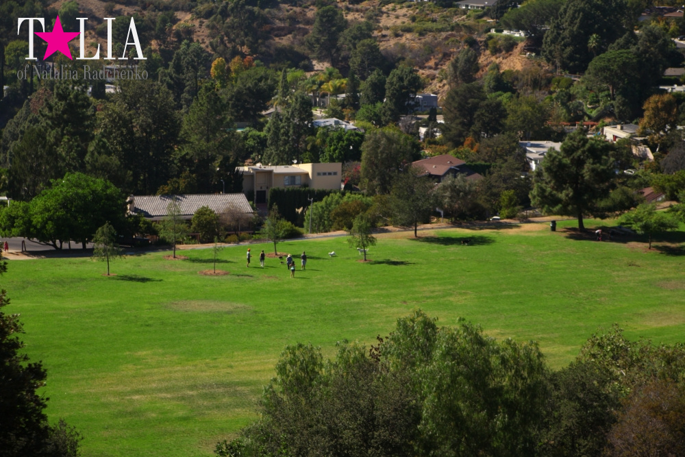 День рождения нашего папы и путешествие в Голливуд (штат Калифорния, знак Голливуд)