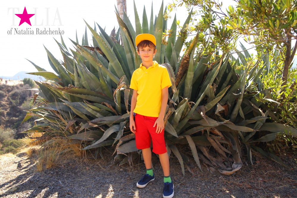 День рождения нашего папы и путешествие в Голливуд (штат Калифорния, знак Голливуд)