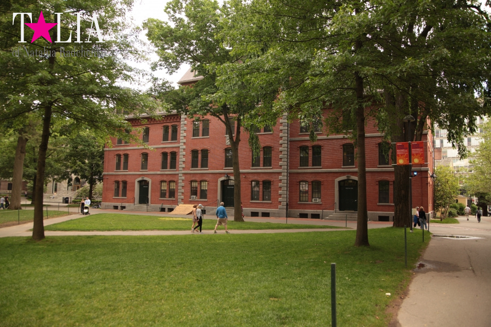 Гарвардский университет, Кембридж, штат Массачусетс