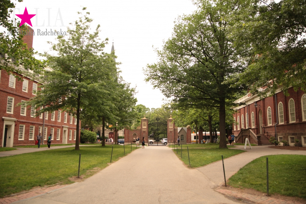 Гарвардский университет, Кембридж, штат Массачусетс