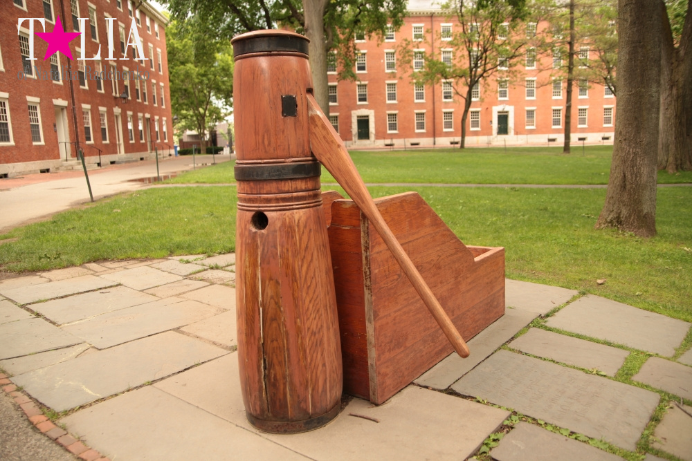 Гарвардский университет, Кембридж, штат Массачусетс