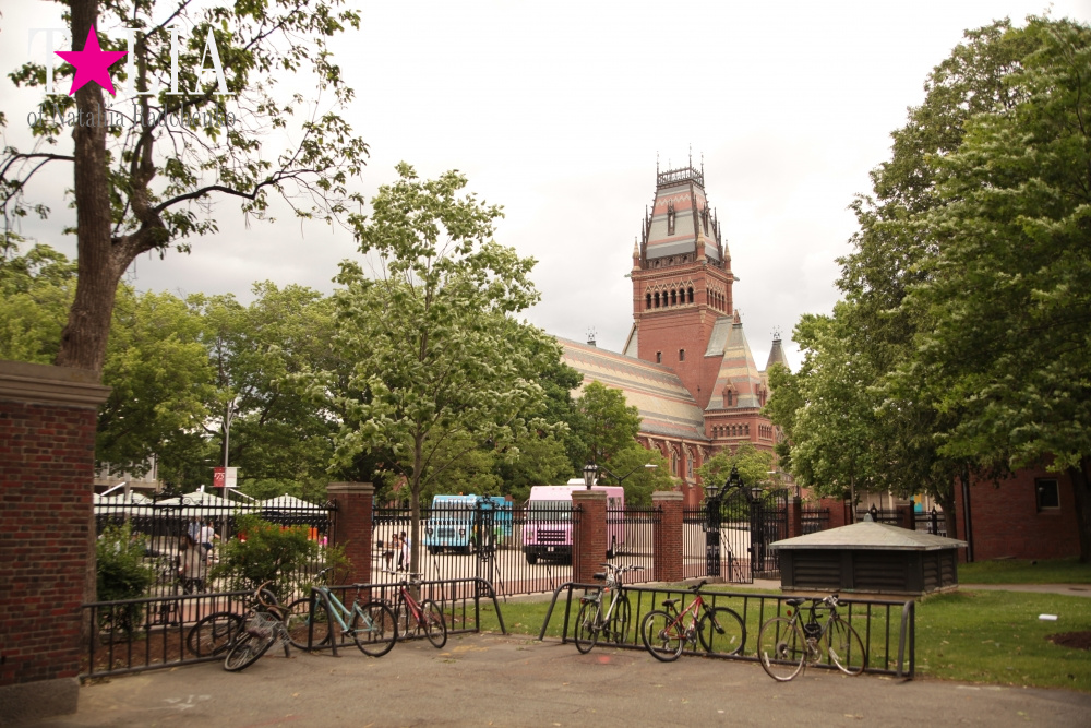 Гарвардский университет, Кембридж, штат Массачусетс