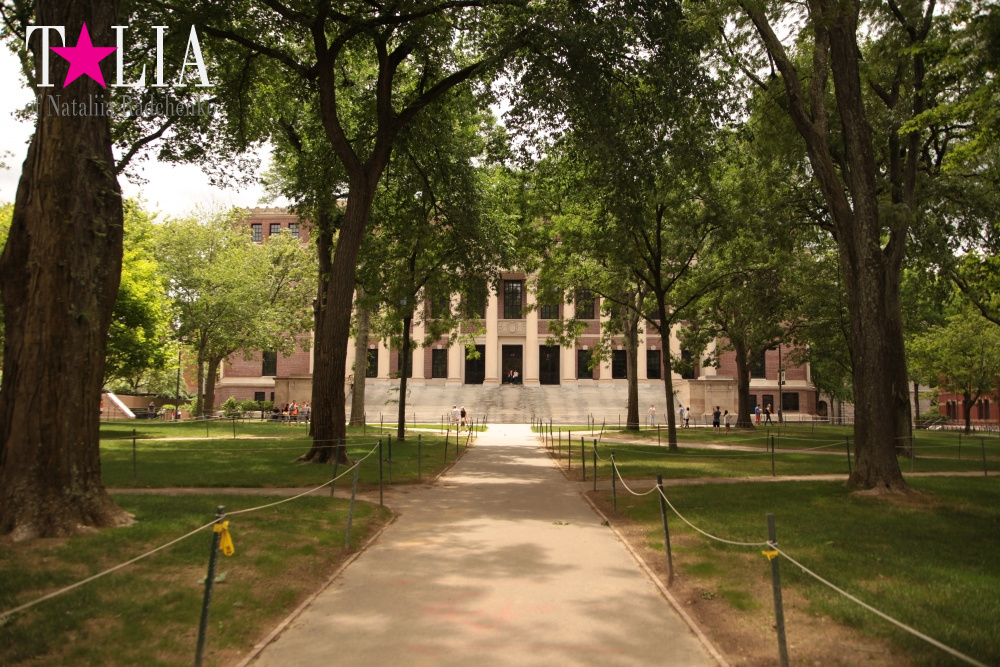 Гарвардский университет, Кембридж, штат Массачусетс