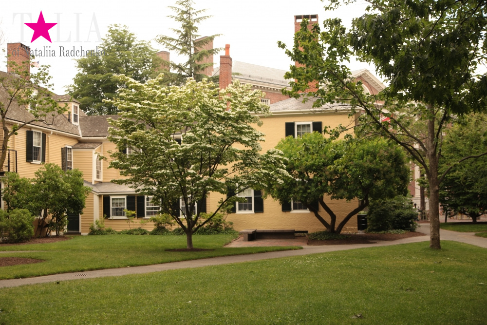 Гарвардский университет, Кембридж, штат Массачусетс