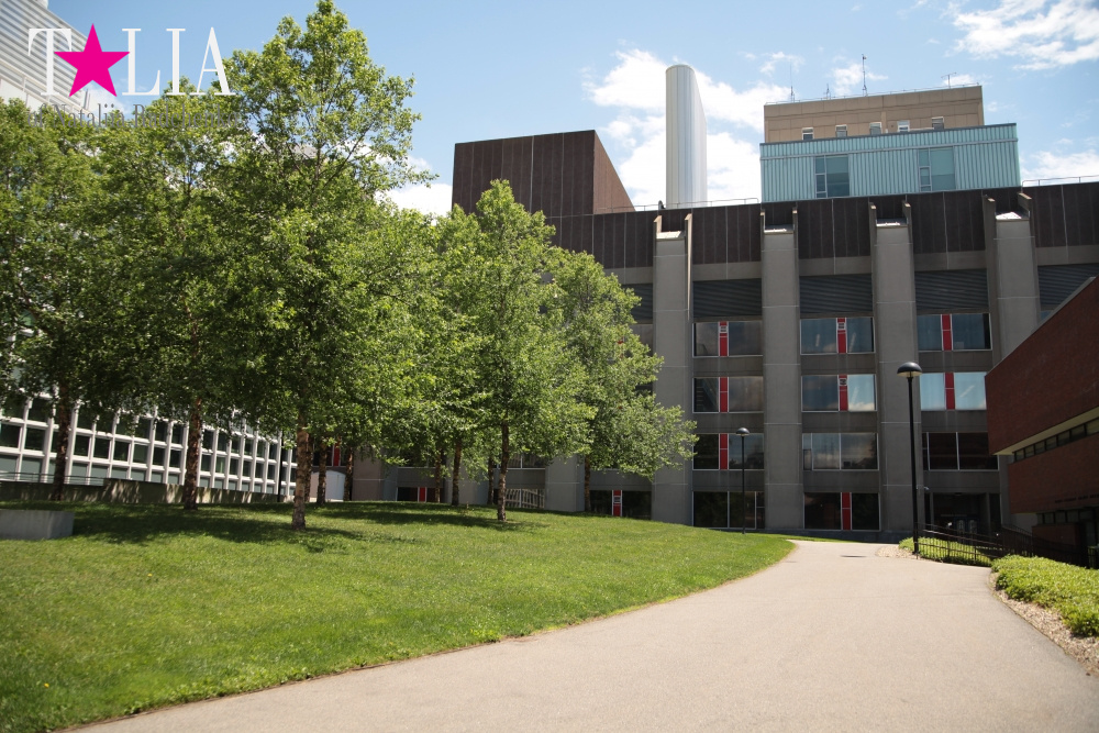 Гарвардский университет, Кембридж, штат Массачусетс