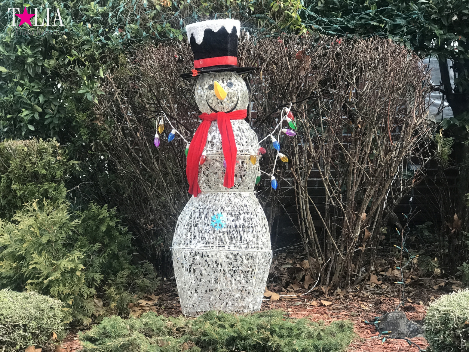 How I make materials for my blog + a little bit more of New Year's Bay Ridge