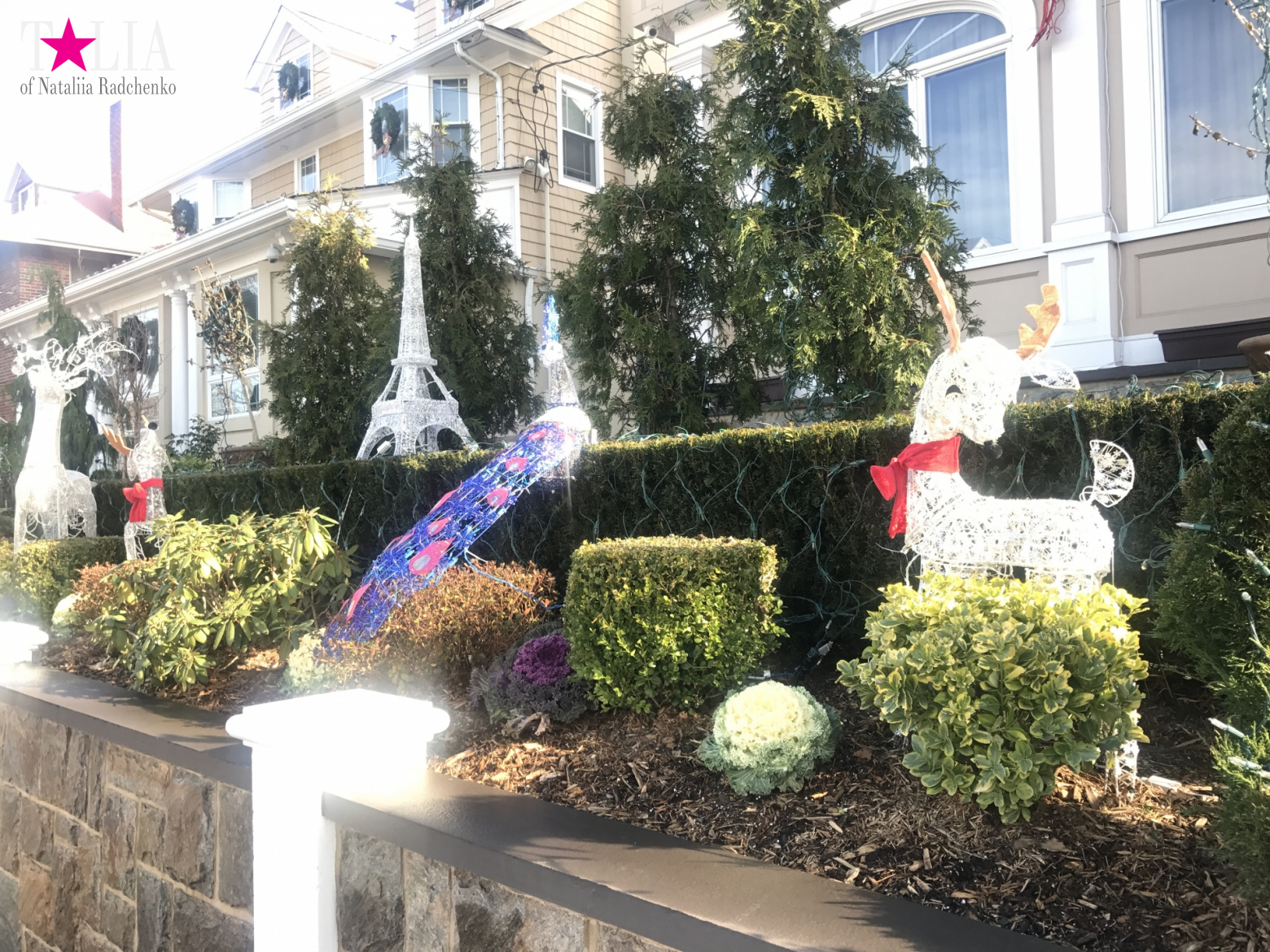 How I make materials for my blog + a little bit more of New Year's Bay Ridge