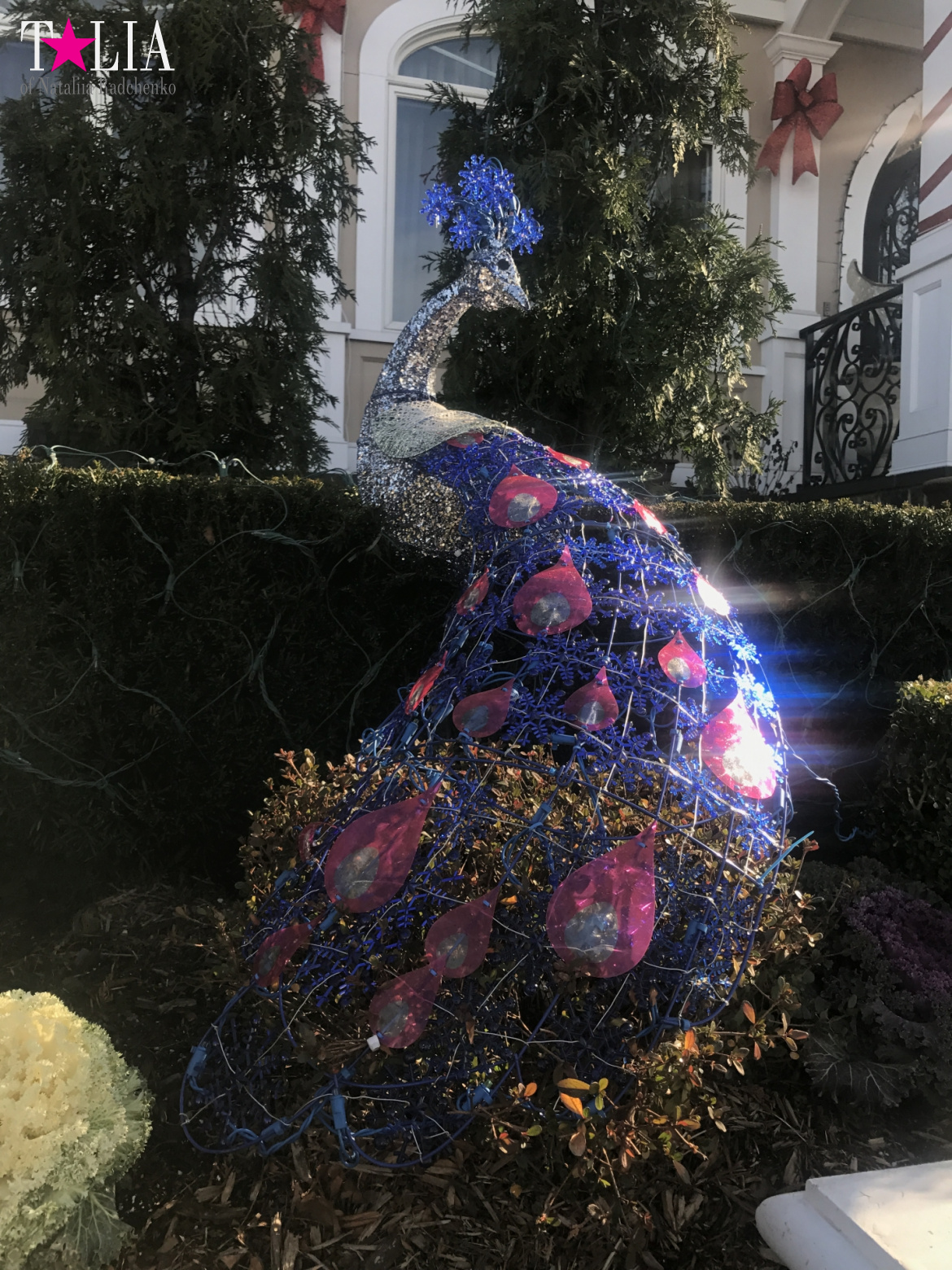 How I make materials for my blog + a little bit more of New Year's Bay Ridge