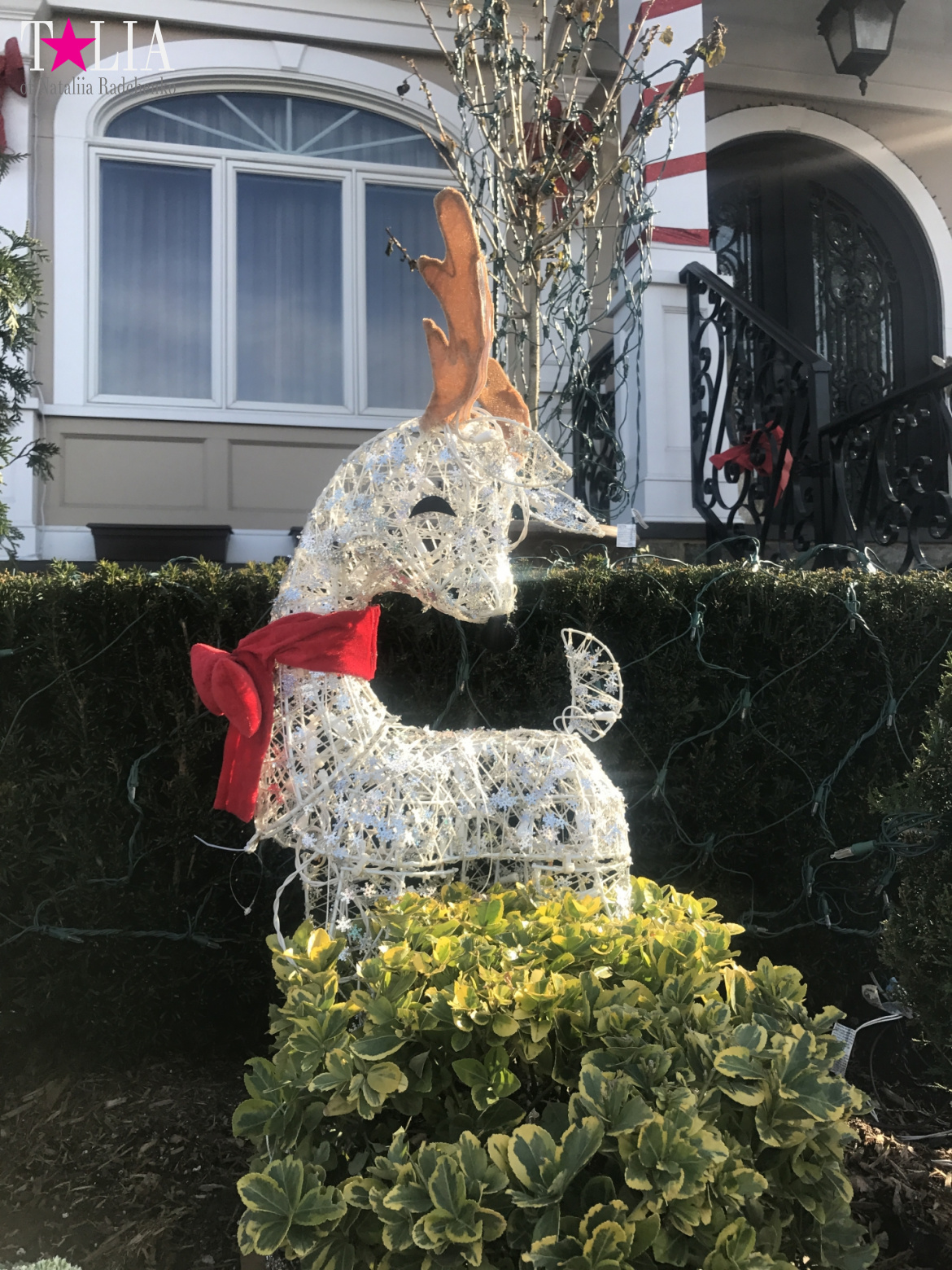 How I make materials for my blog + a little bit more of New Year's Bay Ridge