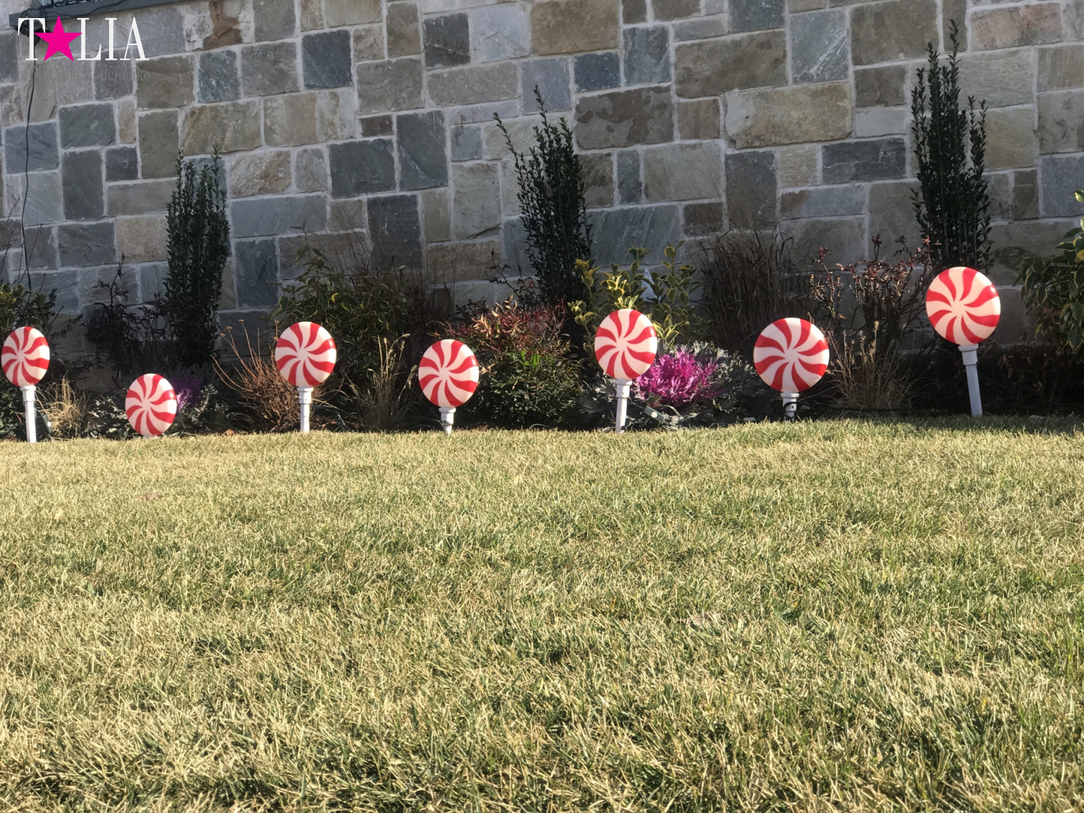 How I make materials for my blog + a little bit more of New Year's Bay Ridge