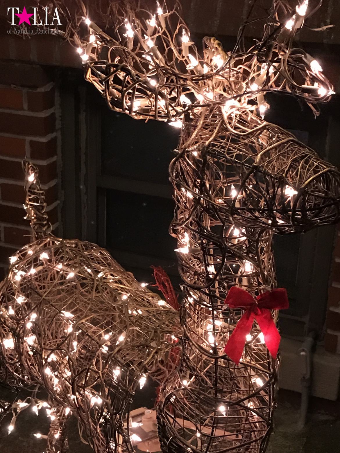 Preparation of New York for Christmas and New Year 2017. Manhattan + Bay Ridge