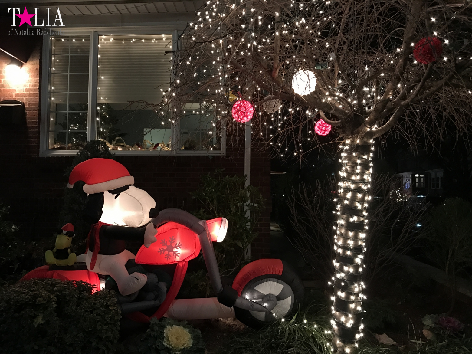 Preparation of New York for Christmas and New Year 2017. Manhattan + Bay Ridge